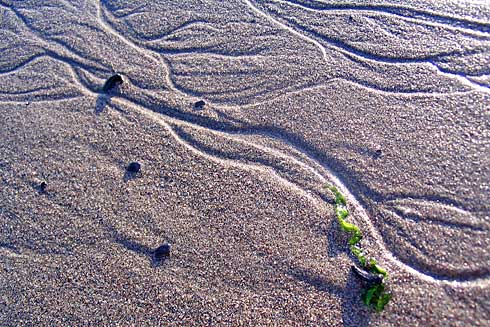 Wavy Erosion Patterns in the Sand (closeup)