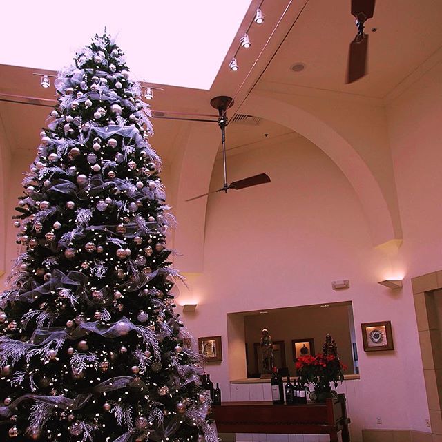 Sterling Winery's magnificent Christmas Tree