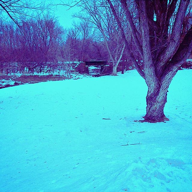 Photo: The Winter Blues in Wisconsin