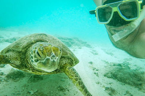 Michael Turtle with Sea Turtles