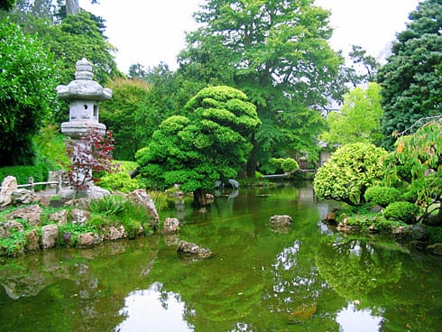 Main Pond in Japanese Tea Garden Main Pond in Japanese Tea Garden