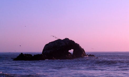 Seal Rocks formation with Heart shape Seal Rocks formation with Heart shape