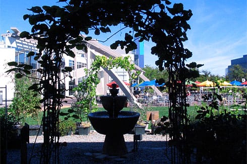 Garden by Google Cafe Garden by Google Cafe