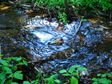 Blue Velvet stream over Rocks