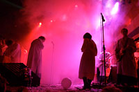 Polyphonic Spree in a Violet Haze