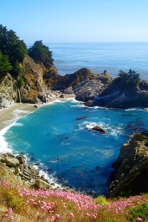 McWay Falls with bluegreen bay and pink flowers below