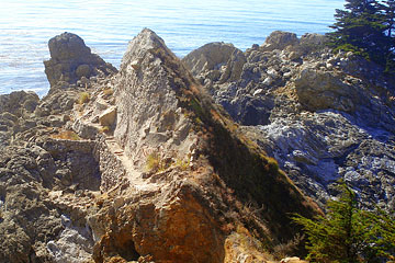 Remnants of old trail leading to McWay Falls beach