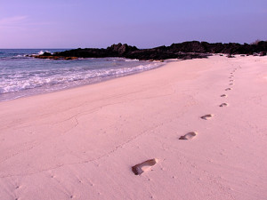 A childs footsteps on Makalawena Beach