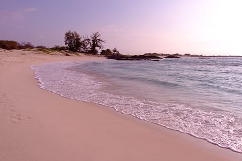 Pristine Makalawena Beach