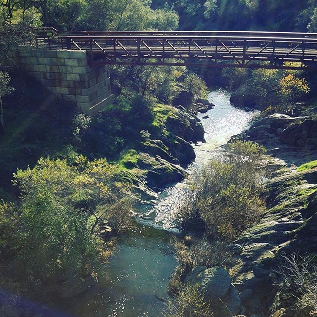 Bridge near Hidden Falls Trail in California