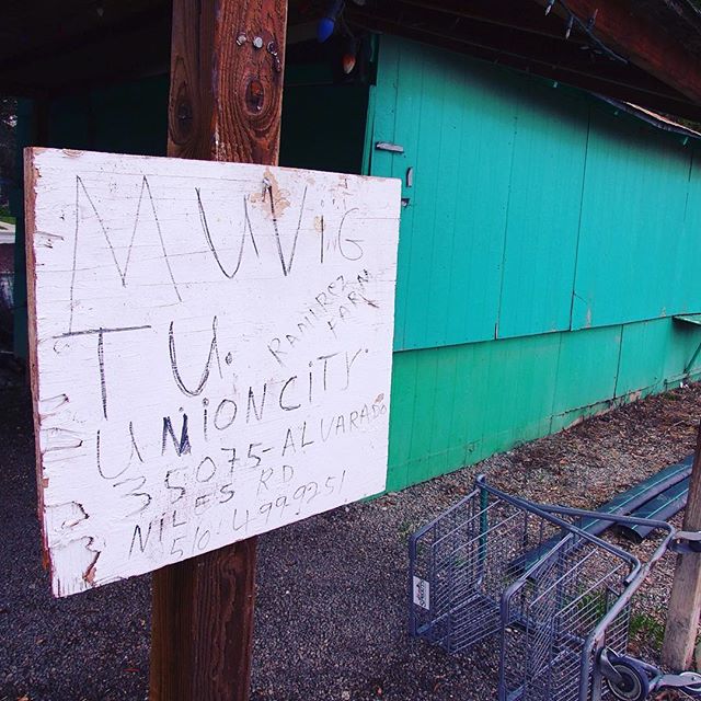Farm Stand in Fremont says Muvig Tu Union City
