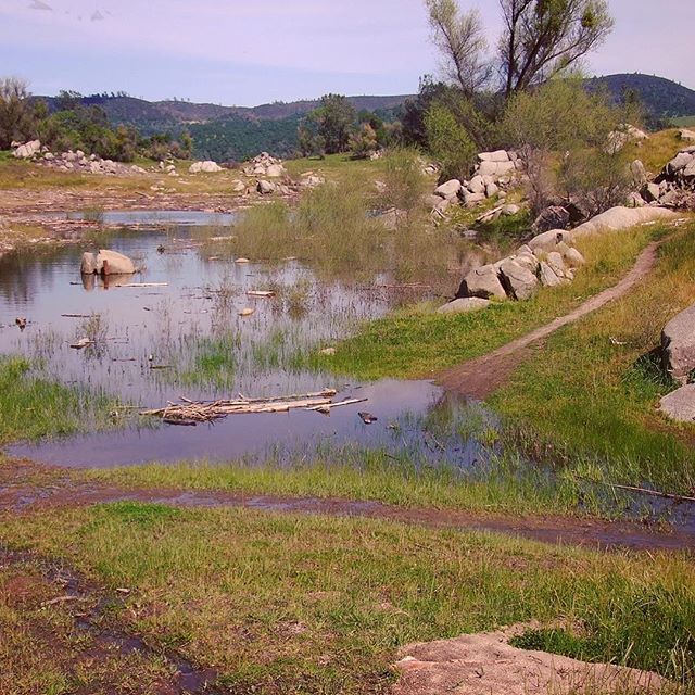 Cool little ponds - Beeks Bight Trail
