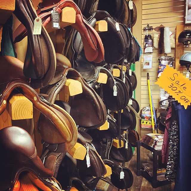 ALL the Great Saddles - 1st time in a equine supply store