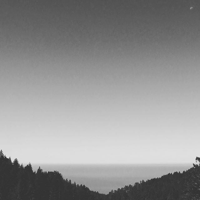 Hiking in Mt. Tamalpais State Park, moon over the sea