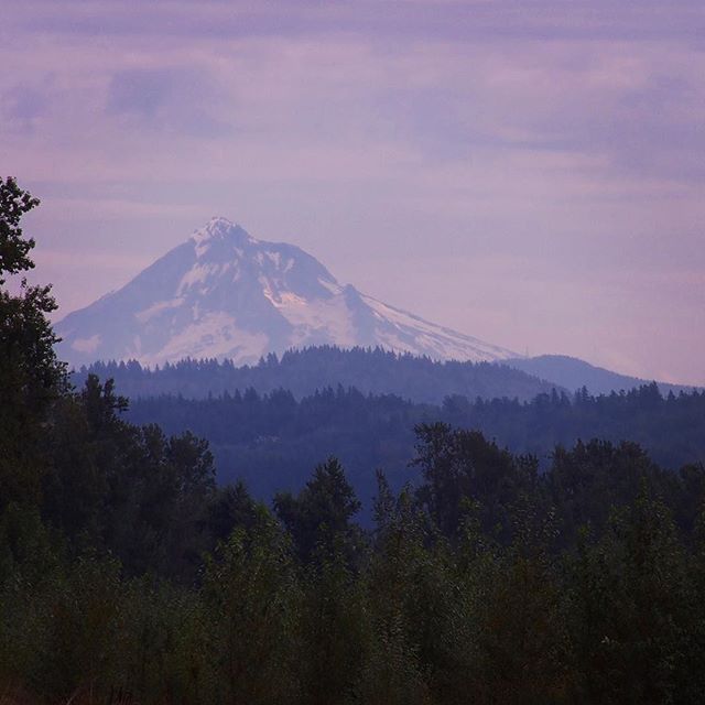 Mount Hood looking majestic from Sandy River Delta Park