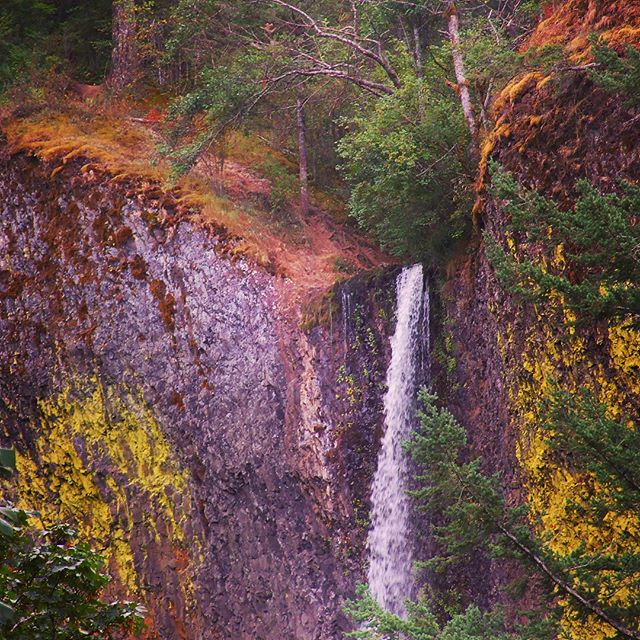 Latourell Falls along Columbia River Gorge in Oregon