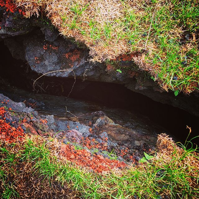 Fissure crack in Leilani Estates