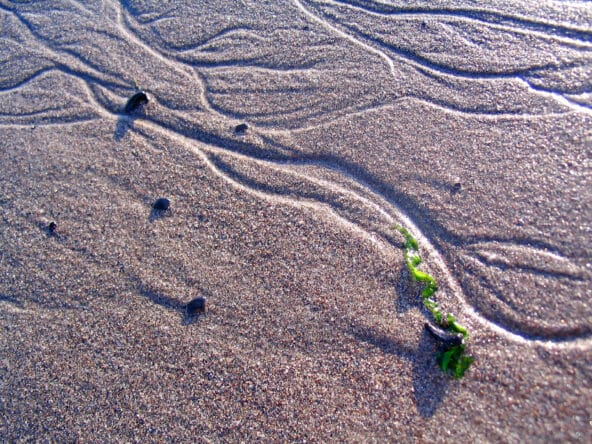 3Wavy Erosion Patterns in the Sand (closeup)
