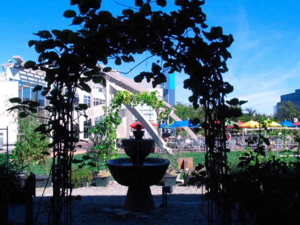 Garden by Google Cafe