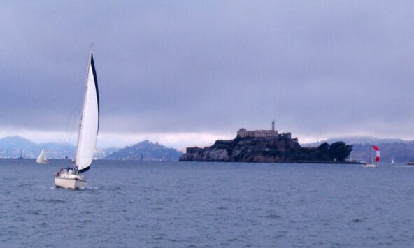 White Sailboat with Alcatraz Island behind