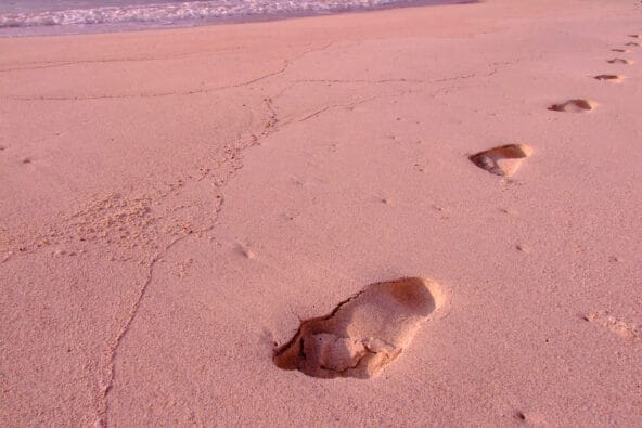 A child's footsteps on Makalawena (closeup)