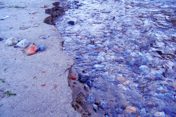 Big Sur River eating away at the Beach