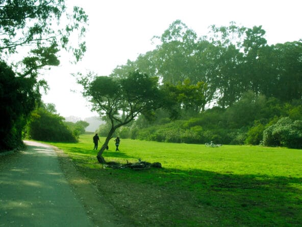 Bikes n people in huge green field