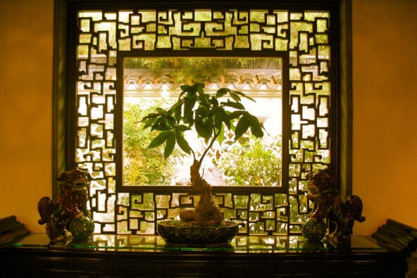 Bonsai tree between two Chinese Dragon figurines