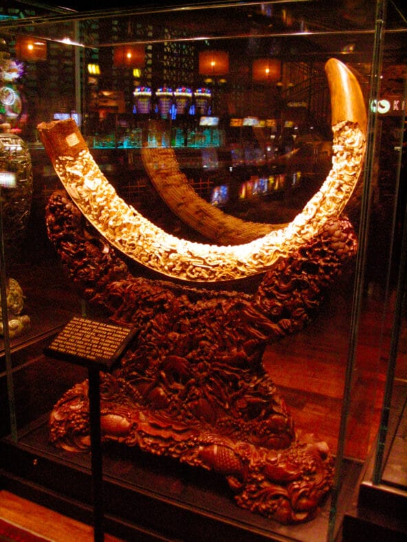 Chinese Mammoth Tusk carving