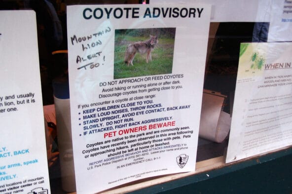 Coyote Advisory sign