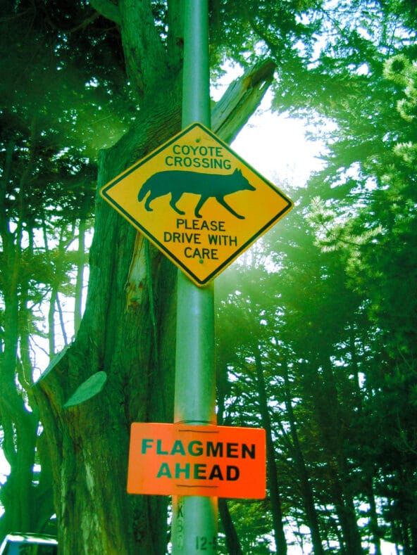 Coyote Crossing sign