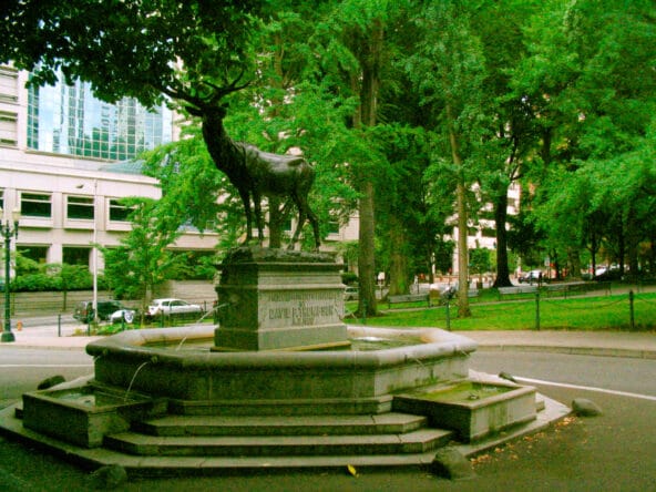 Elk Fountain by David P Thompson