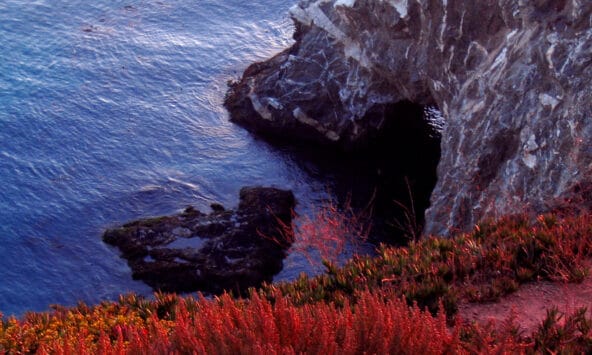Entrance to a sea cave