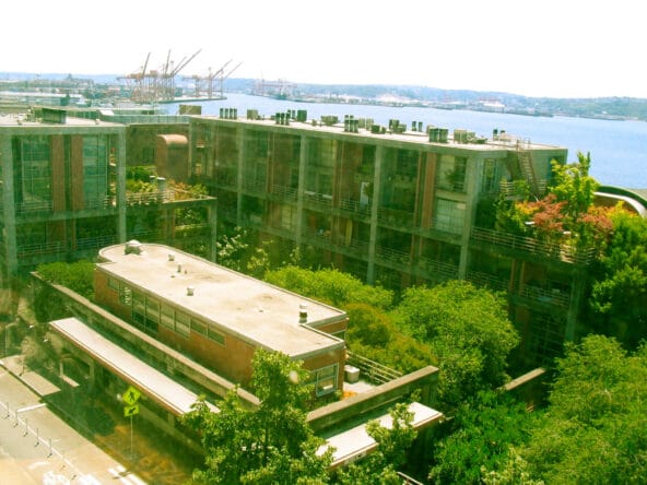 Green Apartment complex covered in Trees by Puget Sound