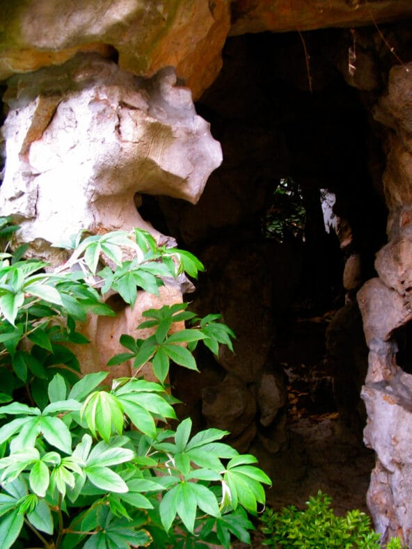 Green overgrowth around cave passage