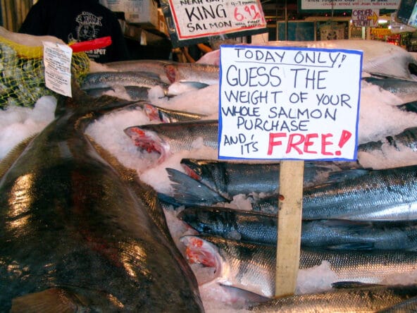 Guess the Weight of your salmon and it's free! sign