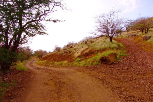 High n Low Makalawena trails