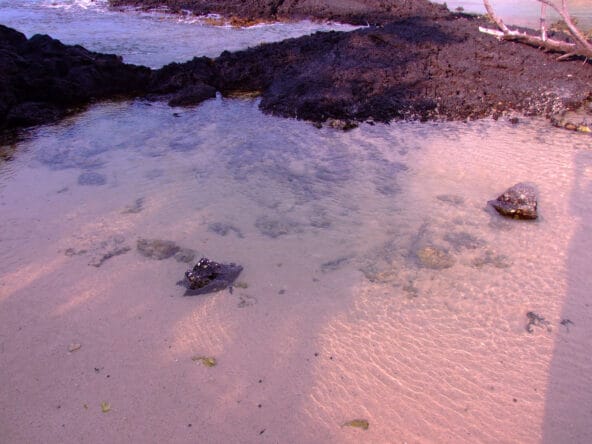 Immaculate tide pool
