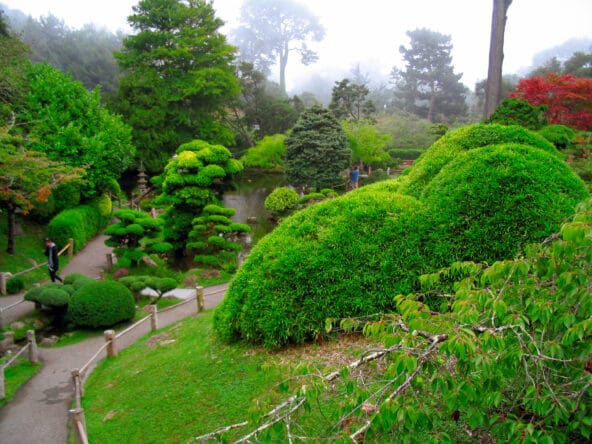 Japanese Garden paths leading by trimmed bonsai