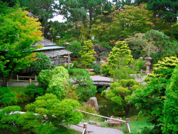 Japanese Tea Garden from top of the Drum Bridge