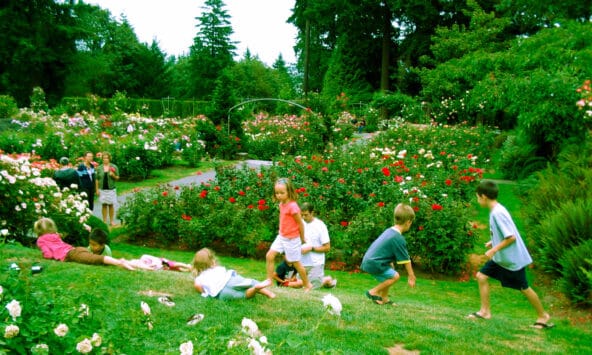 Kids rolling in the grass by the roses