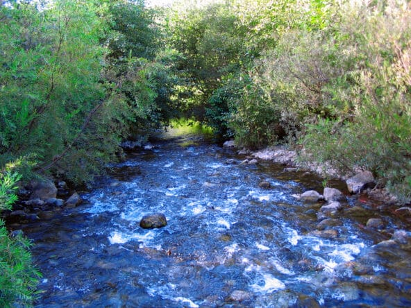 Looking downstream