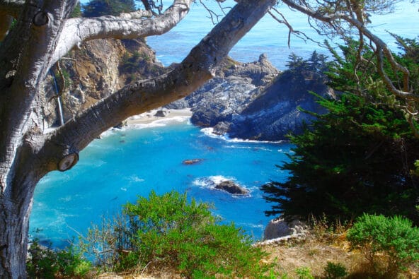 Looking thru branches to a bluegreen bay