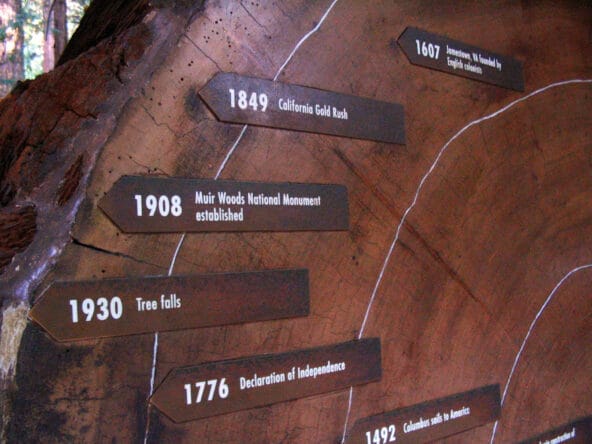 Major events marked on Tree Rings