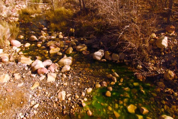 Mossy green stream over desert rocks