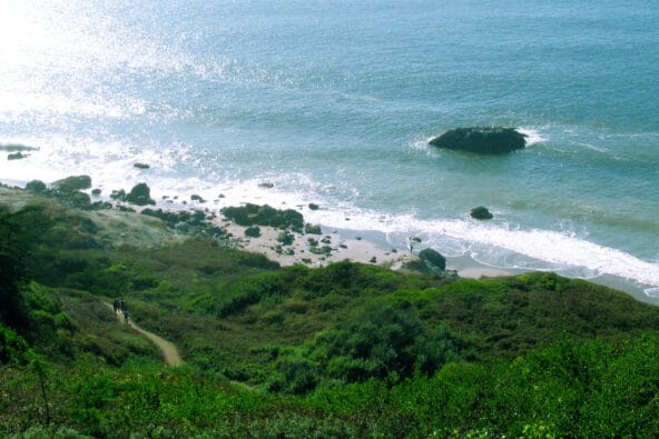 Path leading down to rocky beach