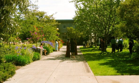 People Talking in the Botanical Gardens