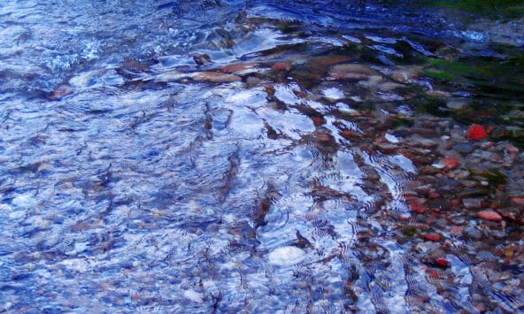 Reflections off of Big Sur River