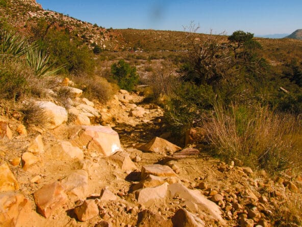Rocky desert path leading away