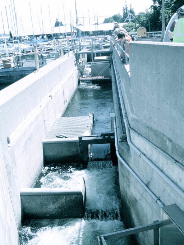 Salmon Ladder from above